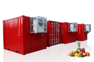 集裝箱式冷庫(kù)
