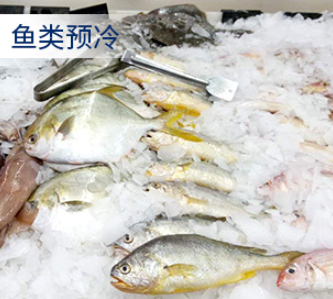 這類(lèi)制冰機(jī)的特點(diǎn)或選購(gòu)指南