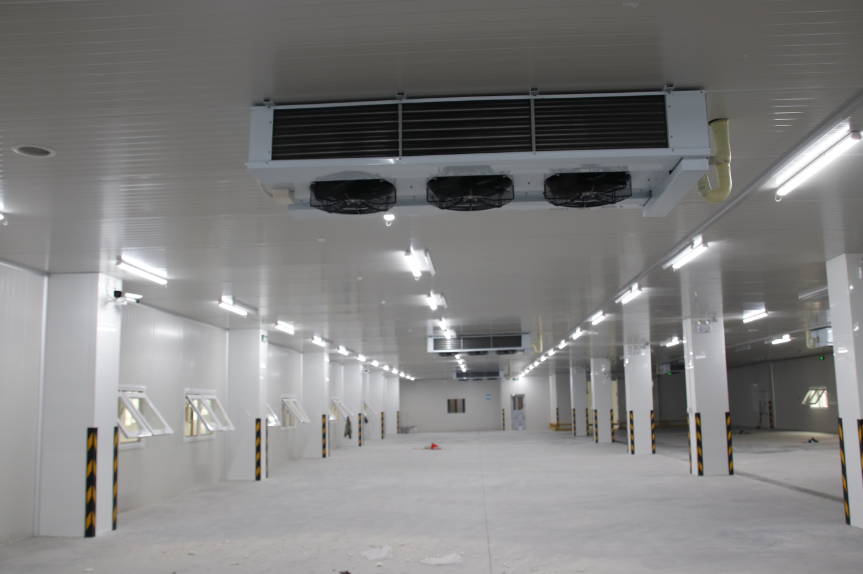 干貨！冷庫設(shè)備節(jié)能的四種方法