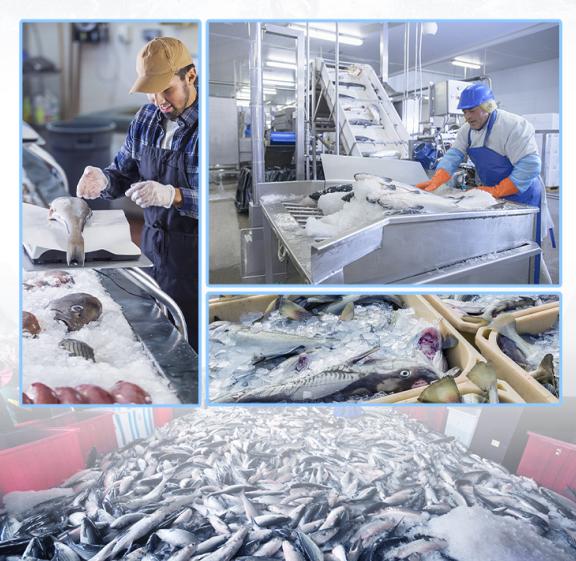 自動加水、制冰到脫冰，全過程不需要人工干涉