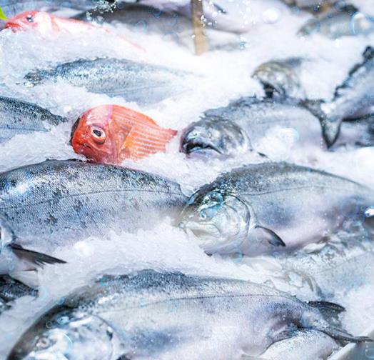 三、適用行業(yè)?