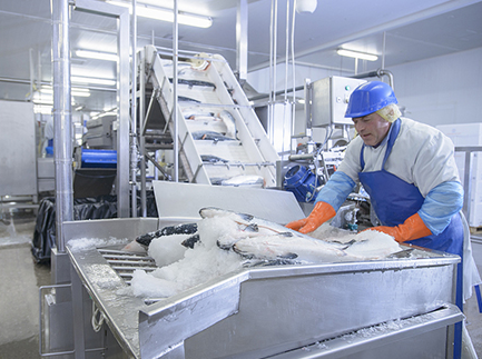 工業(yè)制冰機(jī)型號(hào)有哪些