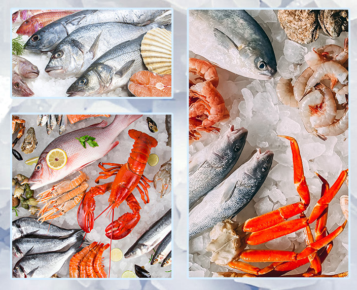 專門針對海鮮冷藏的特殊需求而設(shè)計