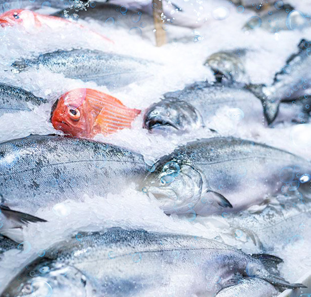 能夠更好地滿足食品保鮮