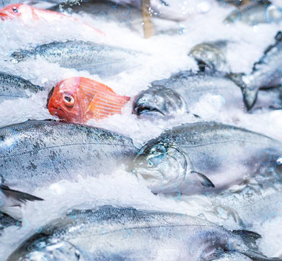 海鮮市場(chǎng)