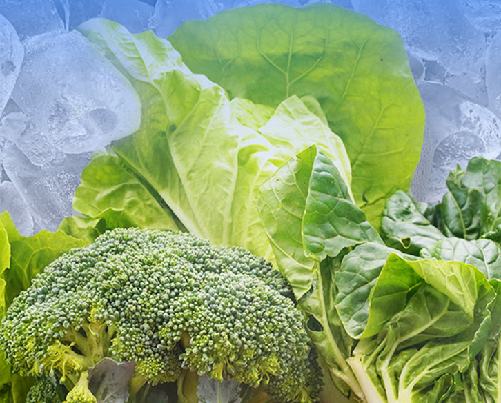 產(chǎn)品的實(shí)際應(yīng)用案例